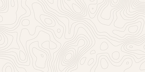 Topography wave line grid map. white wave line geography landscape Topography contour map on white background. Geographic mountain relief diagram line wave carve pattern. © MOHAMAD