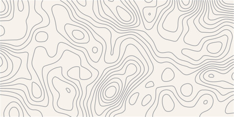 Topography wave line grid map. white wave line geography landscape Topography contour map on white background. Geographic mountain relief diagram line wave carve pattern. © MOHAMAD