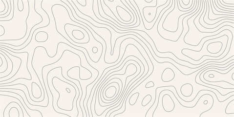 Topography wave line grid map. white wave line geography landscape Topography contour map on white background. Geographic mountain relief diagram line wave carve pattern. © MOHAMAD