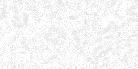 Obraz premium Minimal area white line geometric grid topo map outline. paper curve counter map and wavy topography. relief discovery area white, black line texture background.