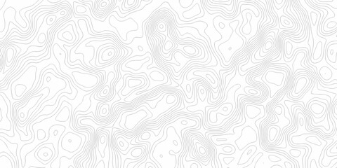 Obraz premium Minimal area white line geometric grid topo map outline. paper curve counter map and wavy topography. relief discovery area white, black line texture background.