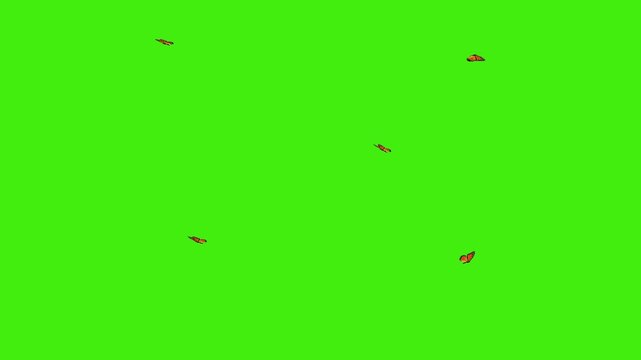 Monarch Butterfly Flying Animation on Green Screen | Realistic Orange Wings Flutter | Nature VFX Overlay