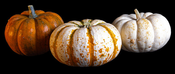 Three Pumpkins