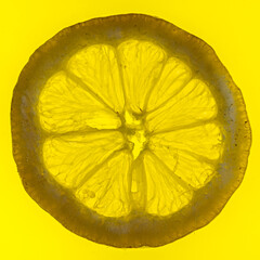 Lemon Slice