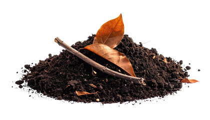 Dark soil pile with fallen leaves and a stick, isolated against black