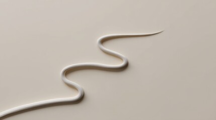 Fototapeta premium Minimalist abstract design featuring a smooth, curved line resembling a snake on a neutral background, perfect for modern art applications
