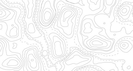 Topography background. Vector banner. Topography map background. Background of the topographic map. Topographic map lines, contour background.  © Mst