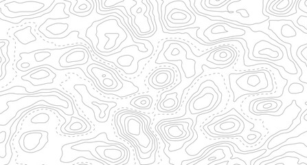 Topography background. Vector banner. Topography map background. Background of the topographic map. Topographic map lines, contour background.  © Mst