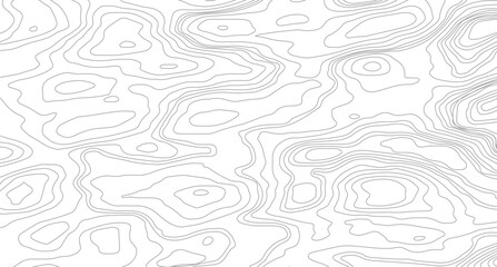 Topography background. Vector banner. Topography map background. Vector geographic contour map. Background of the topographic map. © Mst