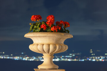 clay vase with red flowers against the background of blurred night lights