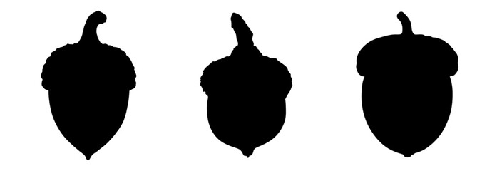 set of acorn © ags
