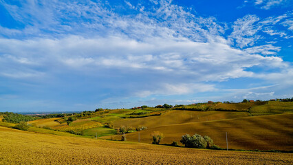 Fototapeta premium Foliage d'autunno nei vigneti del vino Sangiovese delle colline bolognesi. Imola, Bologna, Emilia Romagna. Italia 