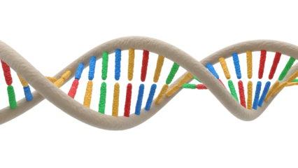 Colorful DNA molecule isolated PNG, genetic code structure with helix strands on transparent background, science and medicine concept