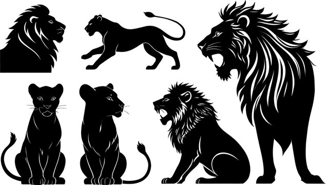 collection of seven black lion silhouettes in various poses and ages on white background vector silhouette set, silhouette illustration