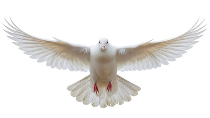 Dove PNG isolated on transparent background, white bird with open wings flying, symbol of peace and...
