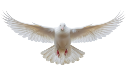 Dove PNG isolated on transparent background, white bird with open wings flying, symbol of peace and freedom, religious and spiritual concept