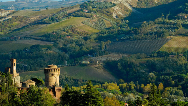 Foliage d'autunno nei vigneti del vino Sangiovese delle colline bolognesi. Imola, Bologna, Emilia Romagna. Italia	