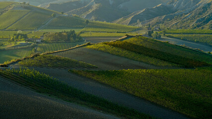 Foliage d'autunno nei vigneti del vino Sangiovese delle colline bolognesi. Imola, Bologna, Emilia...