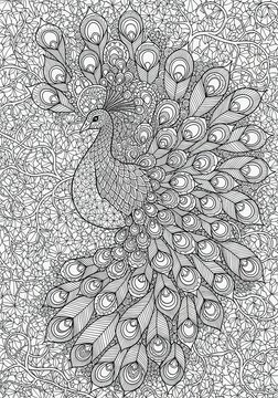 Magical Creature Illustration for Adult Coloring