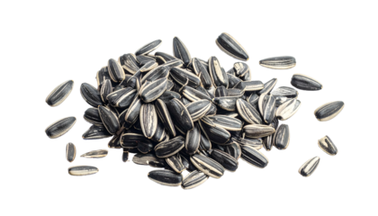 A close-up shot of a heap of seeds, black and white striped, scattered against a black background
