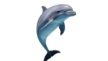 Fototapete Delphin Realistic bottlenose dolphin PNG isolated on transparent background, marine mammal with smooth skin and streamlined body for ocean life concepts  © Florin
