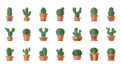Collection of Various Cacti in Pots.
