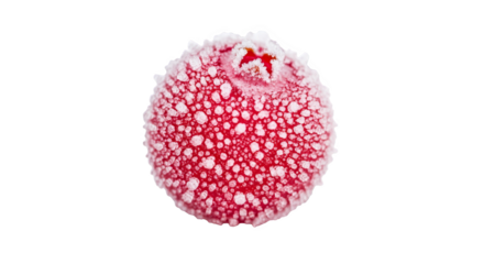 Frosted Red Berry With Ice Crystals On Black Background