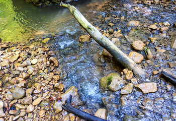 A canyon and a mountain river with a shallow stream and an unusual stone bed in the autumn season