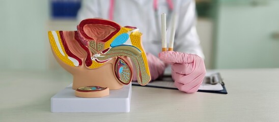 Influence of smoking on male potency and urologist. Smoking and sexual function harms of smoking and effects of smoking concept