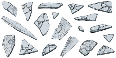 Collection of various ancient fossils and geological specimens on a white background, perfect for educational or natural history company logo design inspiration