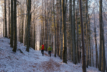 Dwoje piechur&oacute;w w zimowym g&oacute;rskim lesie
