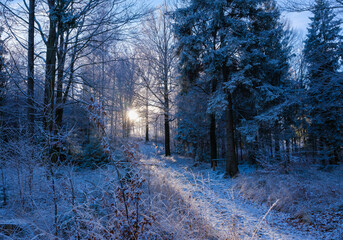 Zimowy g&oacute;rski pejzaż w pięknym porannym świetle