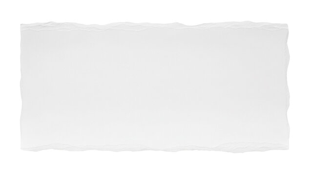 Torn edge paper isolated PNG on transparent background, rough border texture for collage and graphic design projects