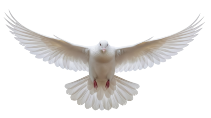 Dove PNG isolated on transparent background, white bird with open wings flying, symbol of peace and freedom, design element