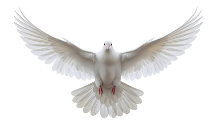 Obraz premium Dove with outstretched wings isolated PNG, symbol of peace and freedom on transparent background Bird for design elements and religious themes