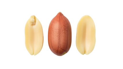 Three peanut kernels PNG isolated on transparent background, shelled nuts for healthy snack and vegetarian food