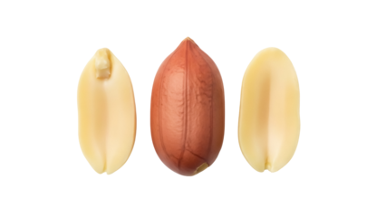 Three peanut kernels PNG isolated on transparent background, shelled nuts for healthy snack and vegetarian food
