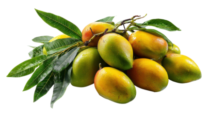 Fresh ripe mango fruits with green leaves isolated tropical organic produce healthy food agriculture concept studio shot on white background