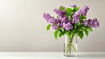 Fototapeta premium Fresh Lilac Bouquet in Clear Vase on Light Background
