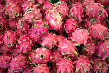 Red Pitaya fruits, dragon fruit, the fruit of several different cactus species indigenous to the America
