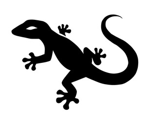 Obraz premium lizard silhouette, icon isolated on white background, vector illustration 1 