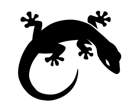 lizard silhouette, icon isolated on white background, vector illustration 3
