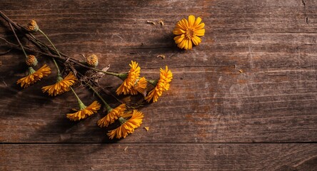 Floral Arrangement on Rustic Surface. A Study in Color, Texture, and Composition.