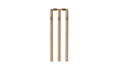 Set of three wooden cricket stumps with bails on top, wicket equipment isolated on white background, essential field gear for classic outdoor bat and ball game scoring and dismissals

