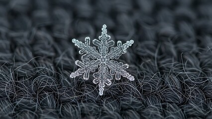 Delicate Snowflake on Dark Foliage Background.