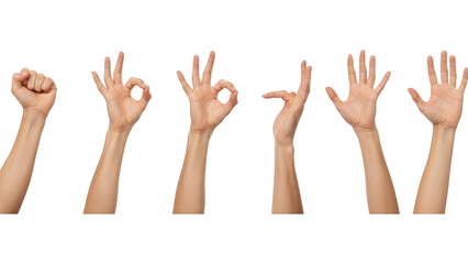 Diverse Human Hand Gestures And Signs On Black Background