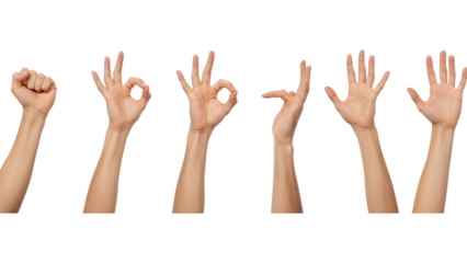 Diverse Human Hand Gestures And Signs On Black Background