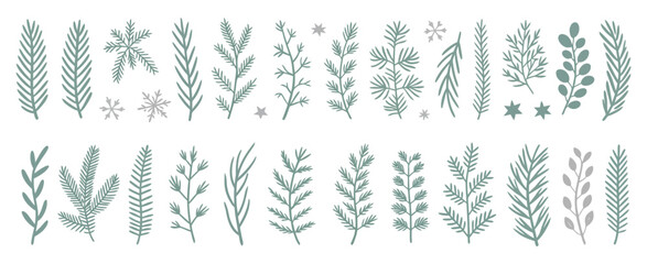 Christmas Winter Plants Set &ndash; Hand Drawn Pine, Spruce, Fir, and Cedar Evergreen Branches Holiday Vector Illustration Isolated on White