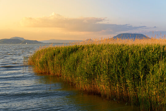 Abendstimmung am Balaton bei Balatonm&aacute;riaf&uuml;rdő, Ungarn