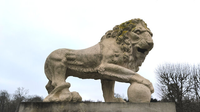 lion statue in Saint-Cloud park, Paris